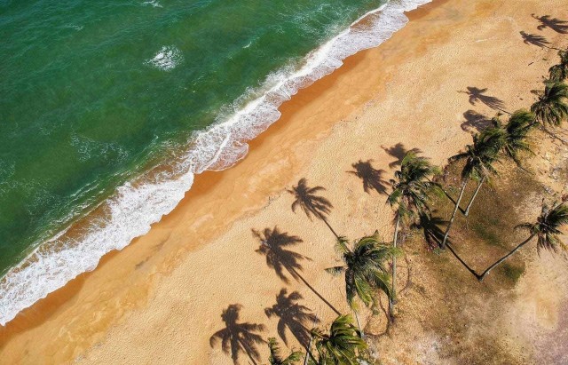 Bird's eye view of a tropical beach