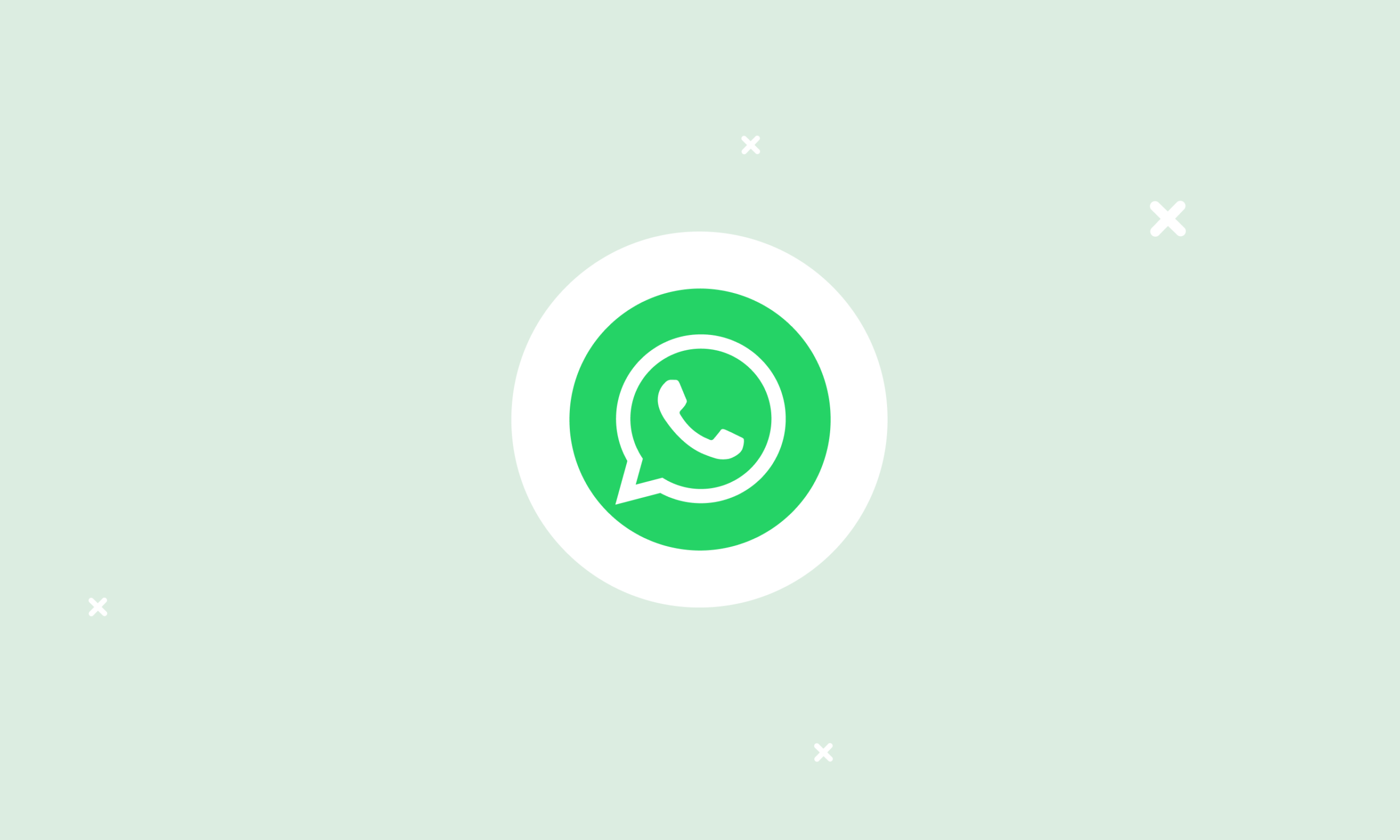 Image for WhatsApp para empresas: versión Business o Business API?
