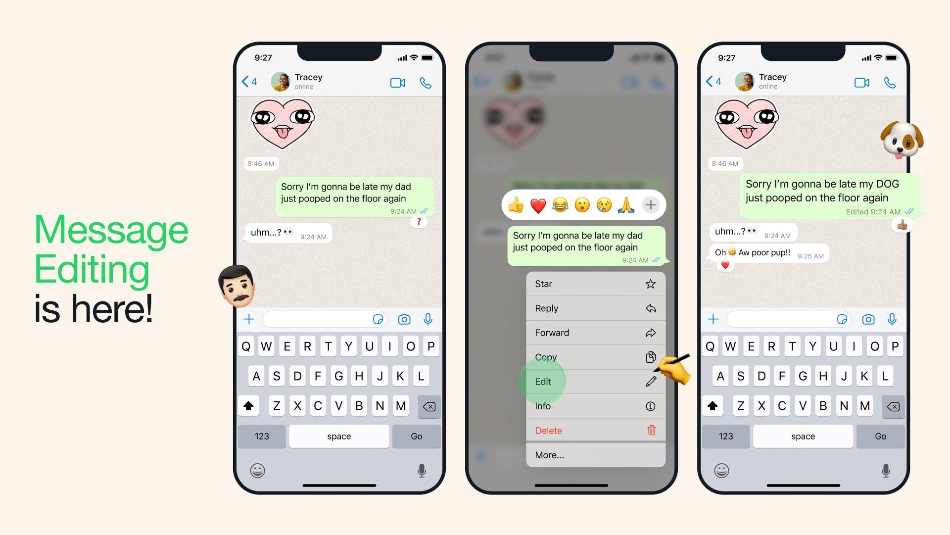 editing messages on WhatsApp