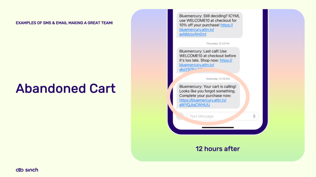 Abandoned cart SMS example from Bluemercury.