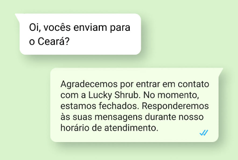 WhatsApp Business - mensagem de ausência