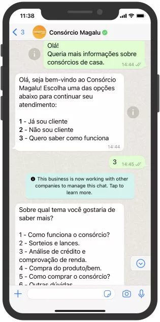 consorcio magalu