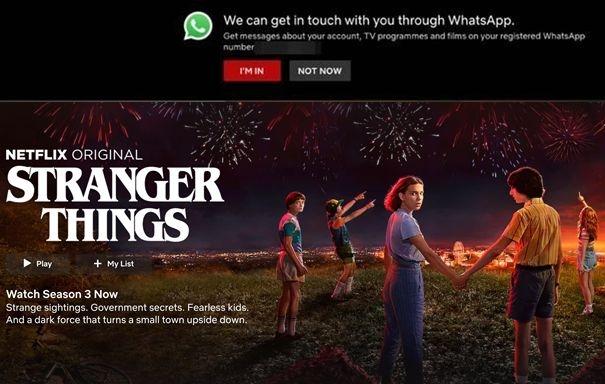 netflix-whatsapp-Newsletter-marketing-Example