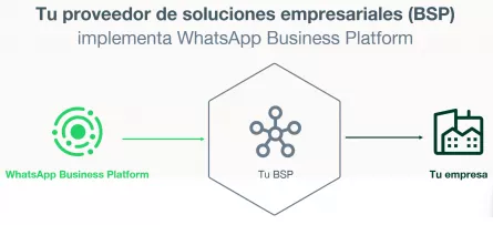 el rol de las BSPs