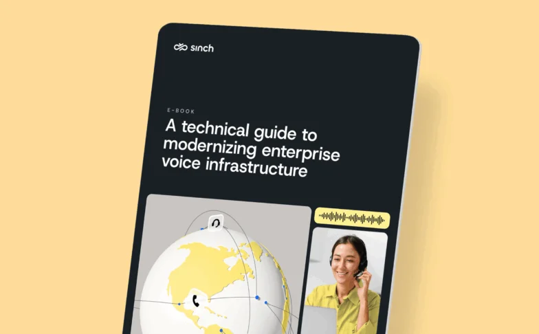 Image for Voice Guide